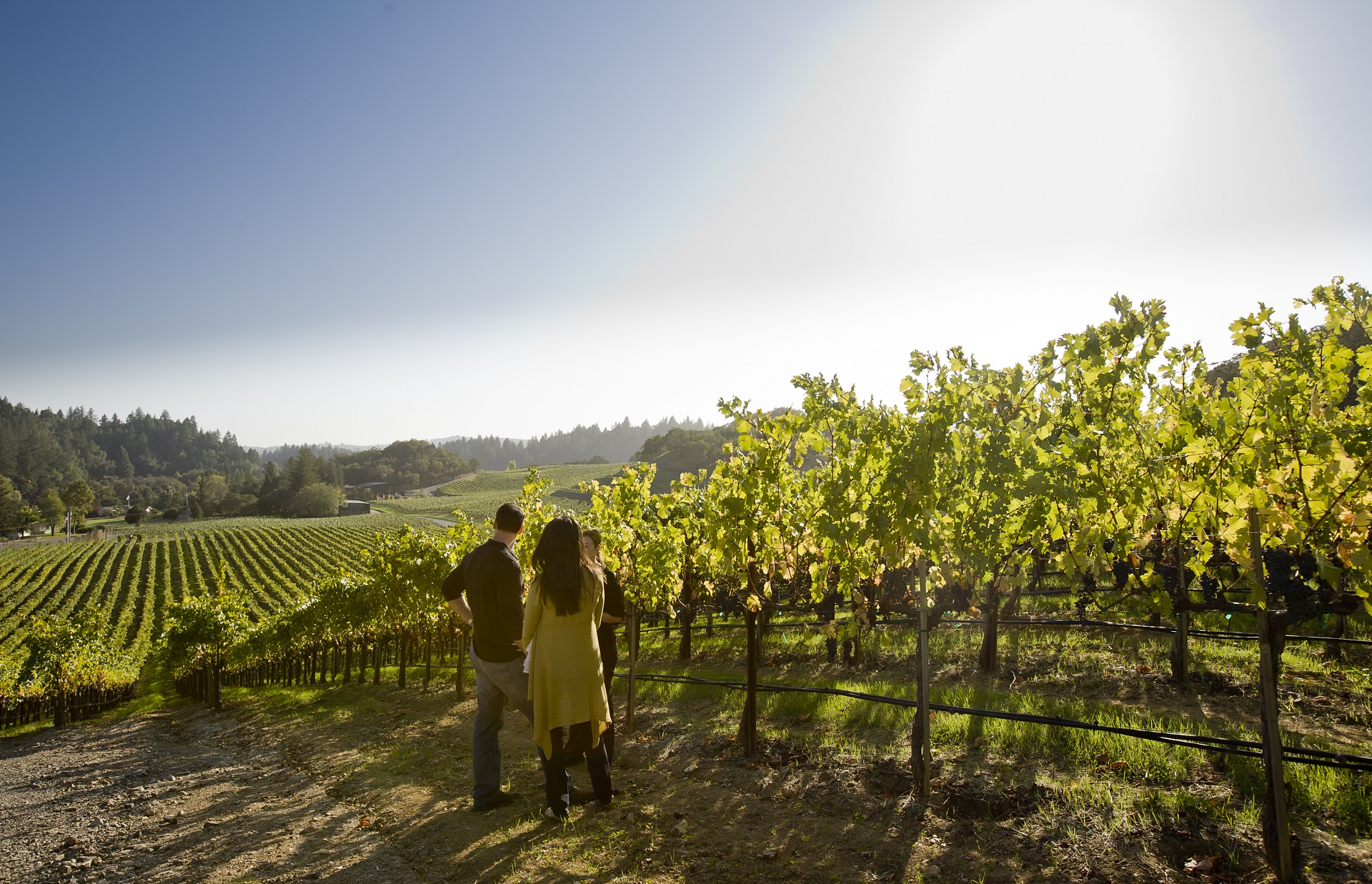 Lancaster Estate Experience all that Lancaster has to offer